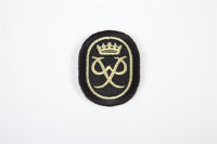 Picture of Duke of Edinburgh Badges