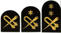 Picture of Seamanship (Gold Badges)