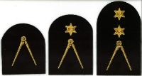Picture of Navigation (Gold Badges)