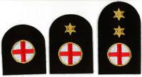 Picture of First Aid (Gold Badges)