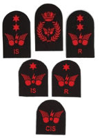 Picture of Communications Information Systems (Red badges)
