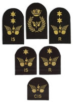 Picture of Communications Information Systems (Gold Badges)