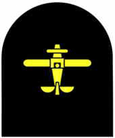 Picture of (Serial 217.1) Basic Airman/Airwoman (Gold)