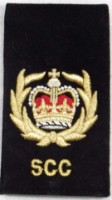 Picture of (Serial 220) WO2 (SCC) Rank Slide